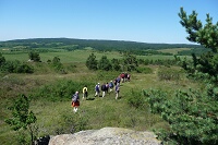 Na Havranickém vřesovišti
