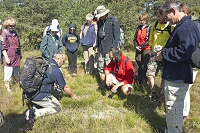 Na Havranickém vřesovišti