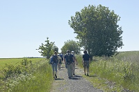 Cesta na Nový Hrádek